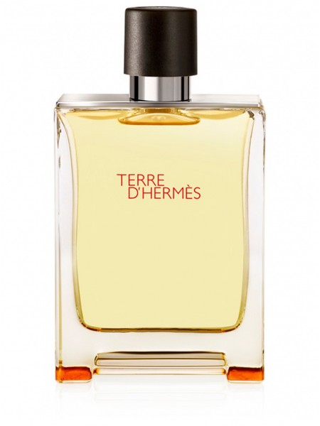 Hermes Terre d\'Hermes Tester edt 100 ml