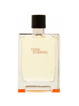 Hermes Terre d'Hermes Perfume Tester edp 75 ml