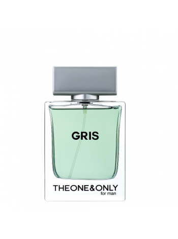 FR. WORLD GRIS THEONE&ONLI for men edp (M) - Tester 100ml