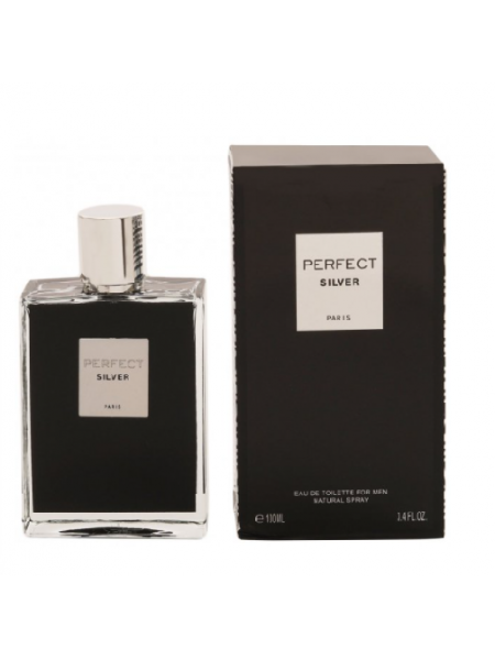 GEPARLYS PERFECT SILVER edt (M) Analogue Dior Sauvage 100ml